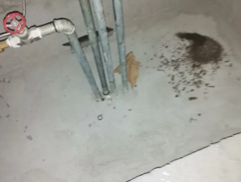 南岳卫生间测漏水价格明细